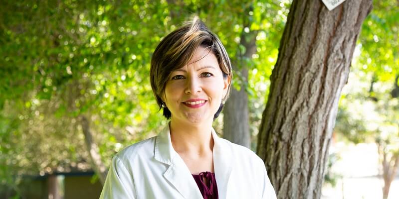 Causes of Gynecological Prolapse